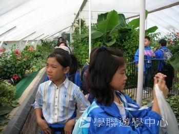 趣味英語兒童營,學聯遊學團