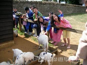 趣味英語兒童營,學聯遊學團