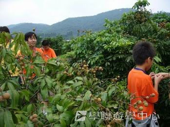 廣州 -- 廣東金融學院美國賽百電腦夏令營,學聯遊學團