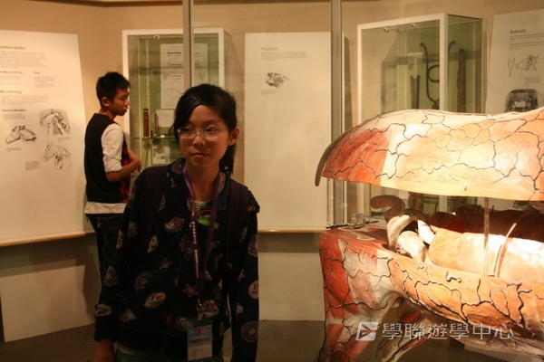 多元趣味英語體驗營 ,學聯遊學團