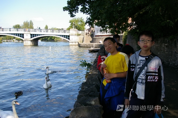 多元趣味英語體驗營,學聯遊學團