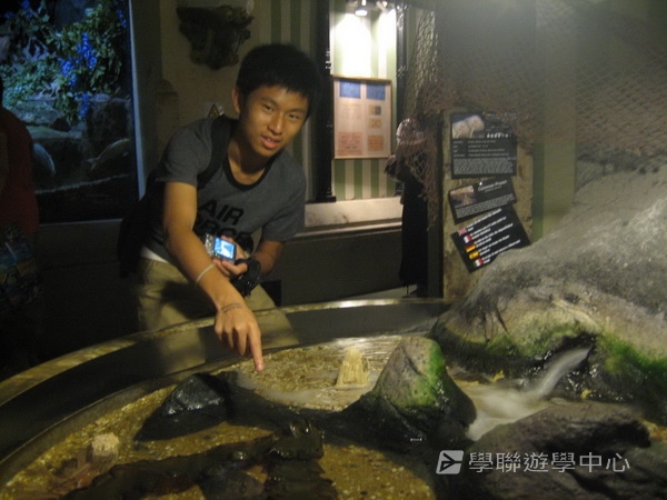 倫敦殿堂學府體驗之旅 ,學聯遊學團
