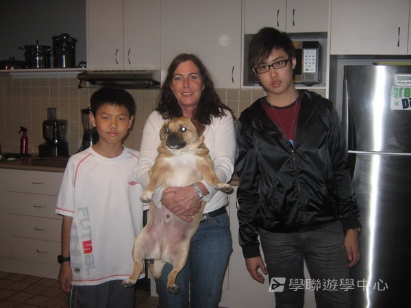 悉尼都會文化體驗遊學假期 ,學聯遊學團