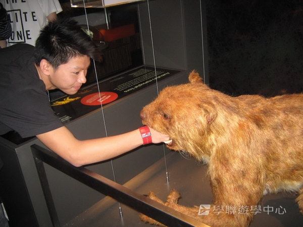 悉尼都會文化體驗遊學假期 ,學聯遊學團