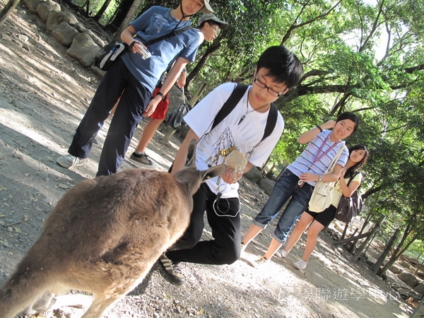 開恩茲英語樂學之旅,學聯遊學團