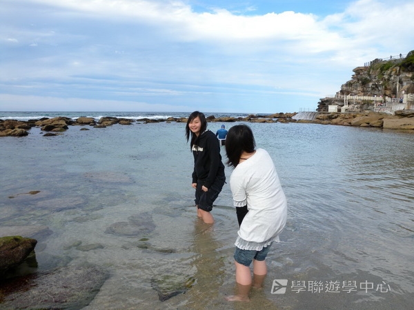 悉尼都會文化體驗遊學假期 ,學聯遊學團