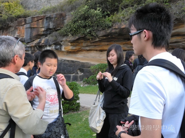 悉尼都會文化體驗遊學假期 ,學聯遊學團