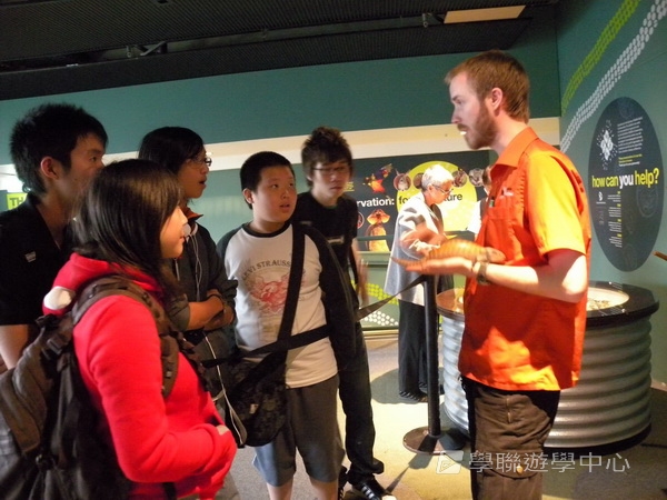 悉尼都會文化體驗遊學假期 ,學聯遊學團