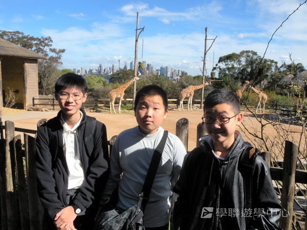 悉尼都會文化體驗遊學假期 ,學聯遊學團