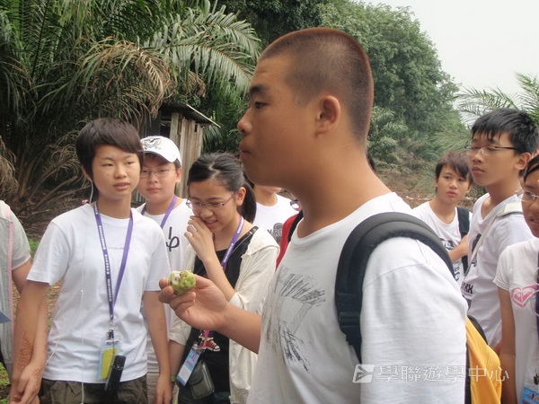 新加坡小小企業家興趣之旅,學聯遊學團