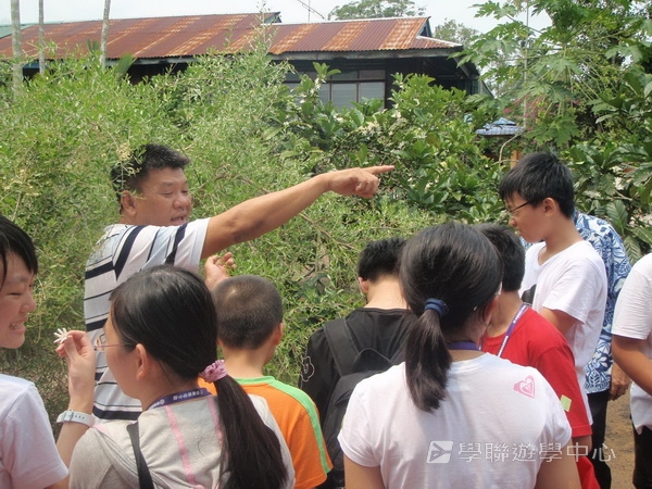 新加坡小小企業家興趣之旅,學聯遊學團