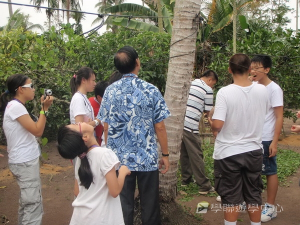 新加坡小小企業家興趣之旅,學聯遊學團