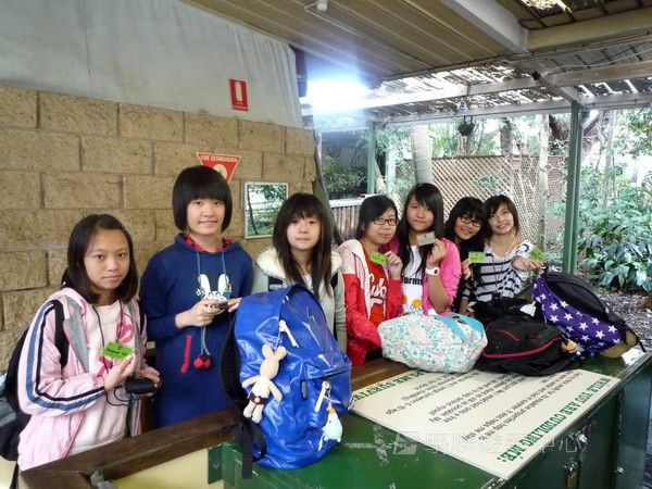 澳洲東岸體驗假期 (布里斯本、開恩茲),學聯遊學團
