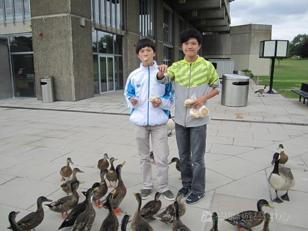 倫敦殿堂學府體驗之旅,學聯遊學團