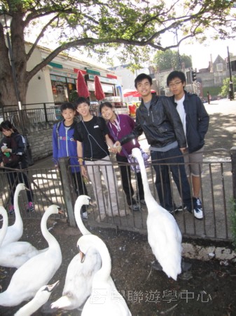倫敦殿堂學府體驗之旅,學聯遊學團