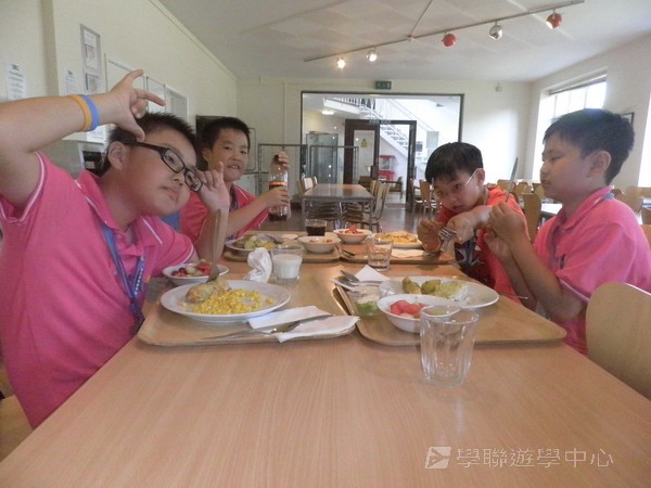 趣味英語兒童營,學聯遊學團