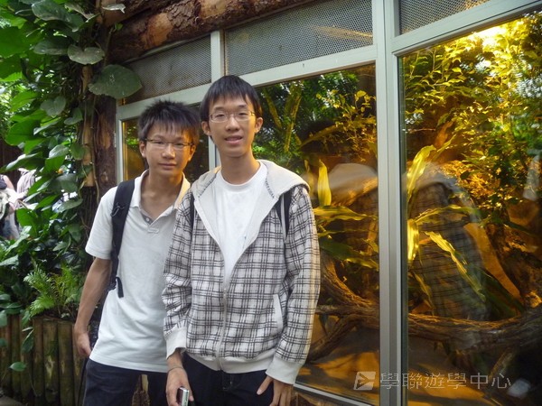 英式生活體驗營,學聯遊學團