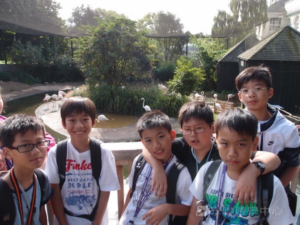 繽FUN遊學生活體驗之旅,學聯遊學團