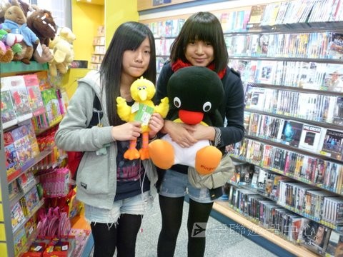 悉尼都會文化體驗遊學假期,學聯遊學團