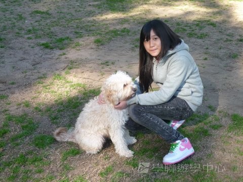 悉尼都會文化體驗遊學假期,學聯遊學團