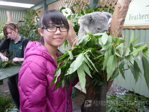 悉尼都會文化體驗遊學假期,學聯遊學團