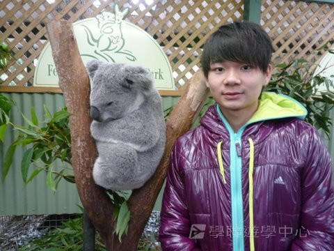 悉尼都會文化體驗遊學假期,學聯遊學團