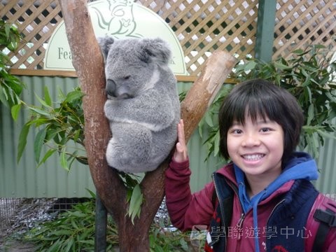 悉尼都會文化體驗遊學假期,學聯遊學團