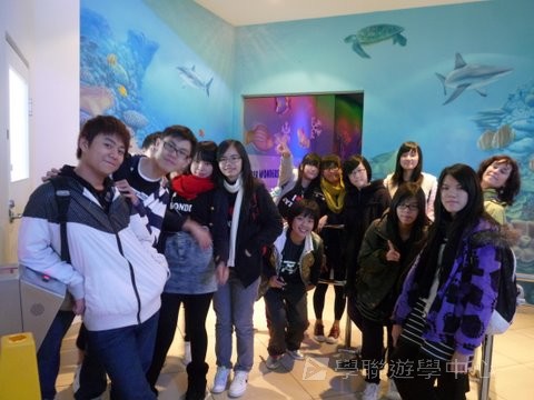 悉尼都會文化體驗遊學假期,學聯遊學團
