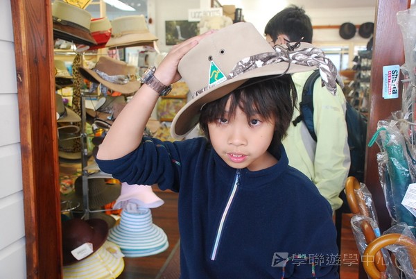 黃金海岸金色遊學假期,學聯遊學團