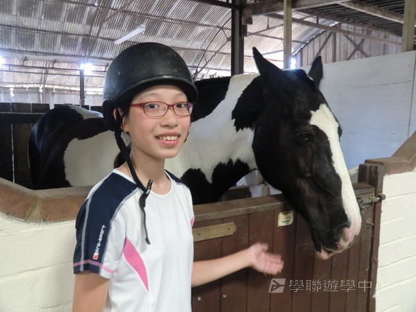 童心童學英語體驗營,學聯遊學團