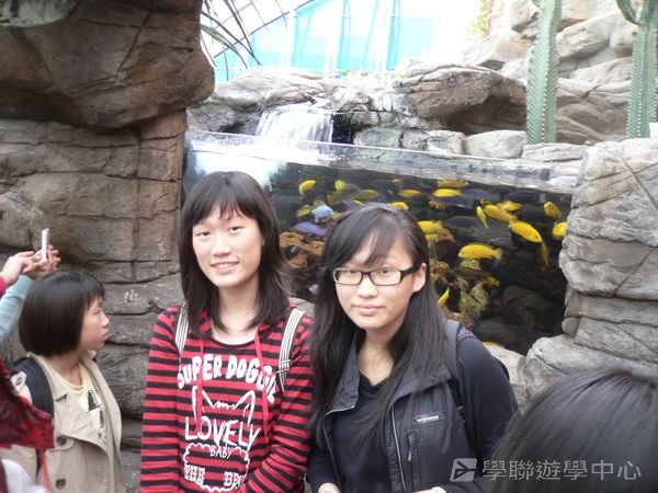繽FUN遊學生活體驗之旅,學聯遊學團