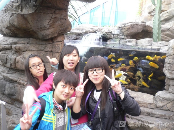 繽FUN遊學生活體驗之旅,學聯遊學團