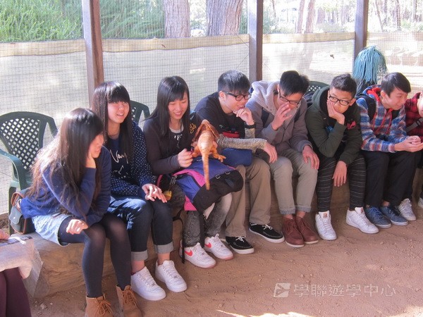 學在柏斯遊學假期,學聯遊學團