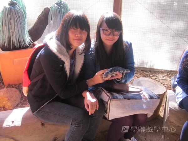 學在柏斯遊學假期,學聯遊學團