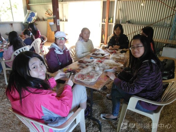 黃金海岸金色遊學假期,學聯遊學團