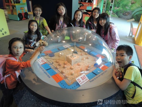 新加坡小領袖訓練學習之旅,學聯遊學團