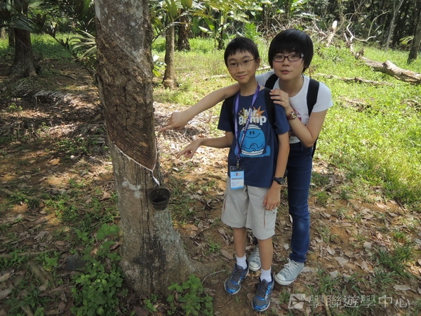 新加坡小領袖訓練學習之旅,學聯遊學團