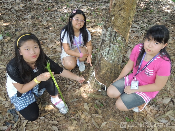 新加坡小領袖訓練學習之旅,學聯遊學團