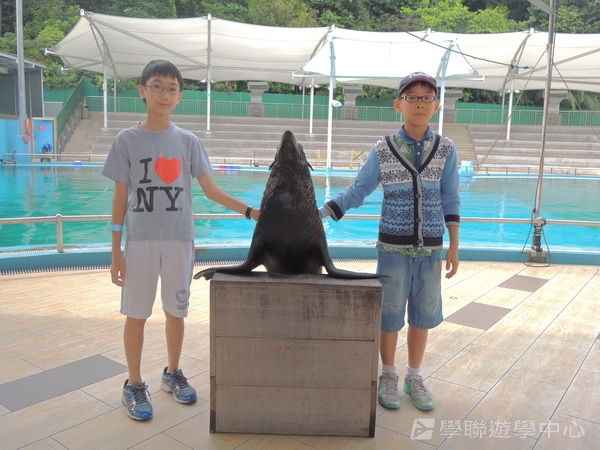 新加坡小領袖訓練學習之旅,學聯遊學團
