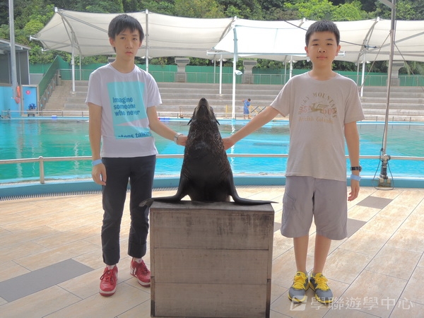 新加坡小領袖訓練學習之旅,學聯遊學團