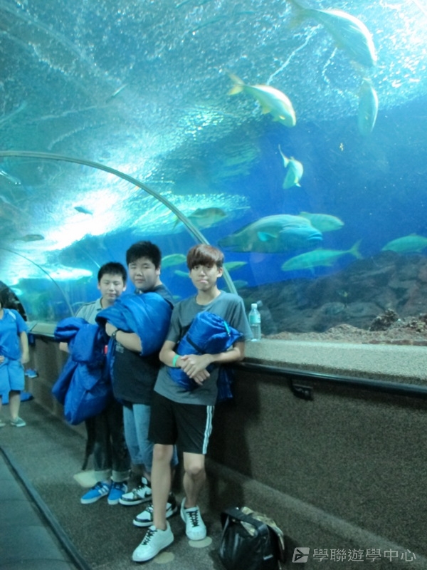 新加坡小領袖訓練學習之旅,學聯遊學團