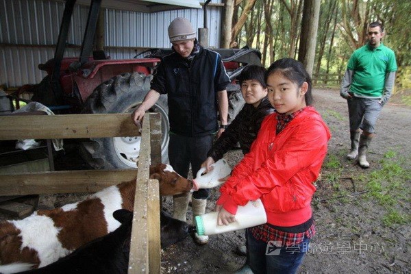 新西蘭農莊體驗之旅,學聯遊學團