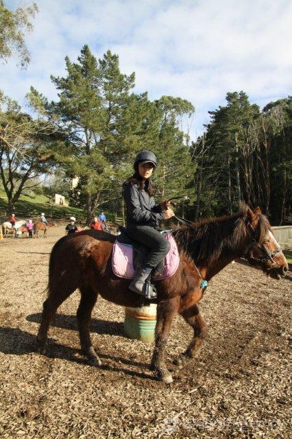 新西蘭農莊體驗之旅,學聯遊學團