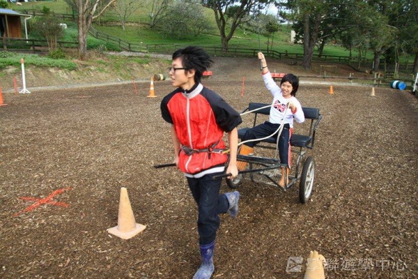 新西蘭農莊體驗之旅,學聯遊學團