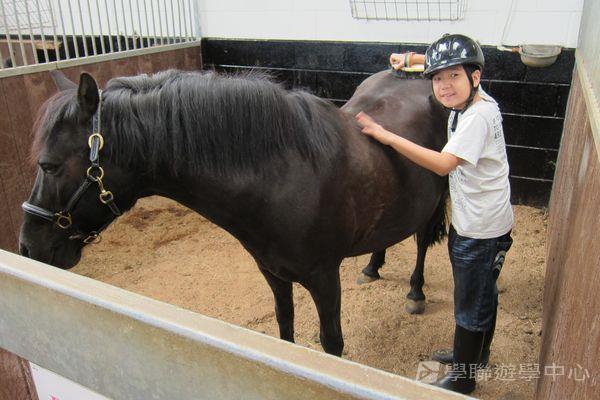 名校英語文化體驗營,學聯遊學團