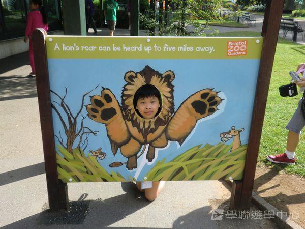 繽FUN遊學生活體驗之旅,學聯遊學團
