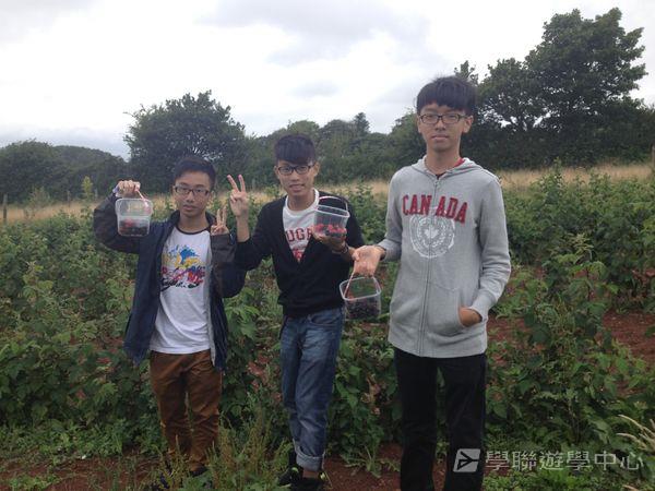 英式生活體驗營,學聯遊學團