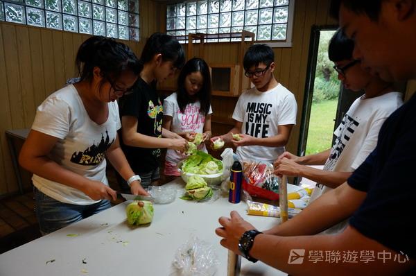 歐洲體驗營,學聯遊學團