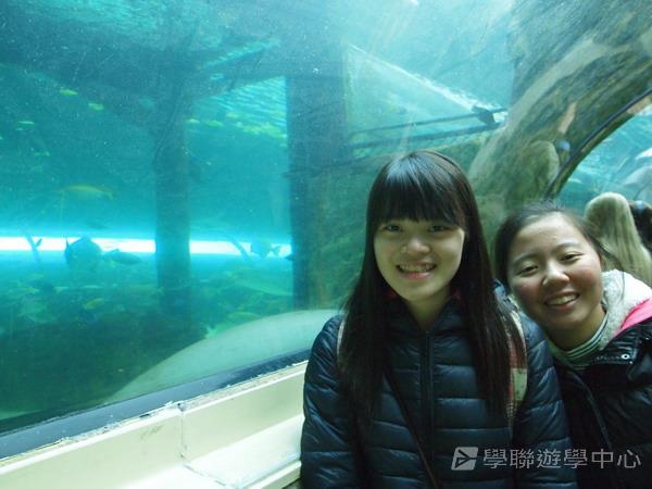悉尼都會文化體驗遊學假期,學聯遊學團