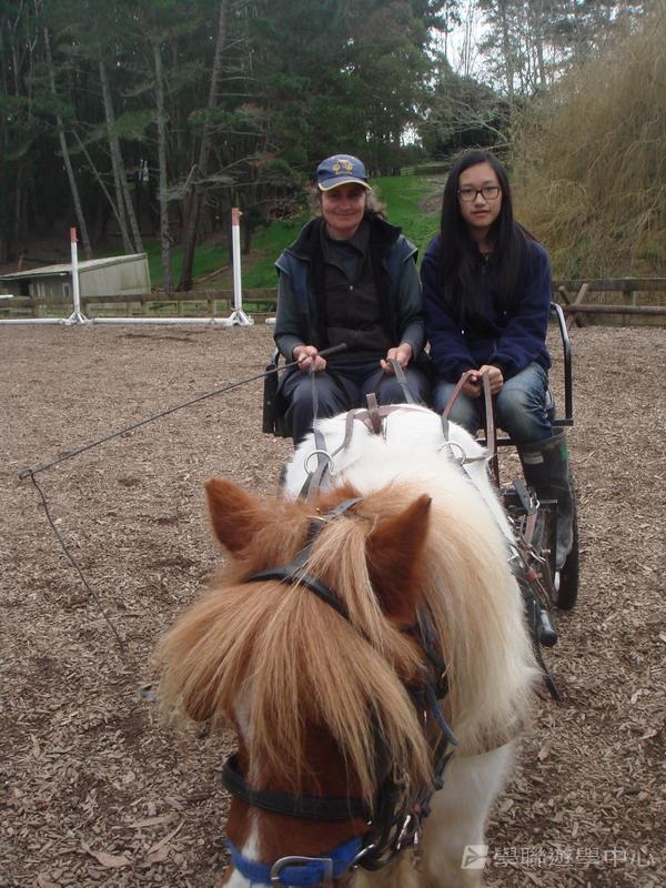 新西蘭農莊體驗之旅,學聯遊學團